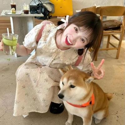 女神探夏洛克